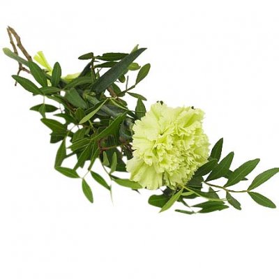 Begravning handblomma med en lime nejlika, grönt - Handblommor - Blommor till begravning